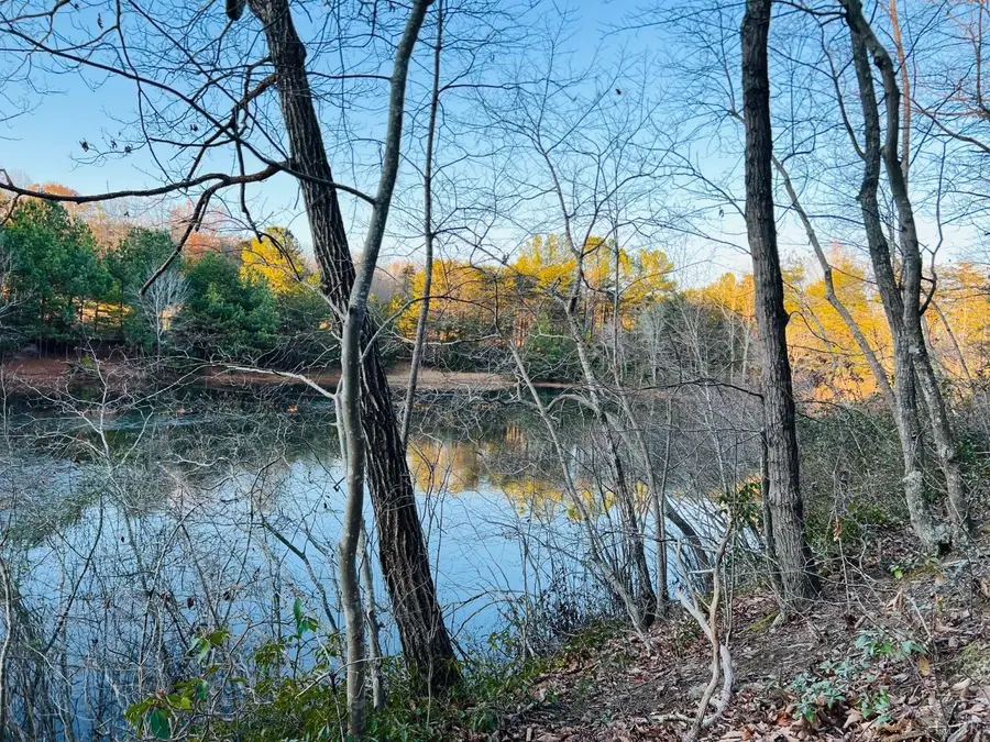 0 Main Street, Hurt, VA 24563 - Image #2