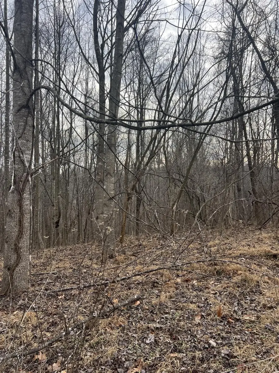 1 Bandy Mill Rd, Hardy, VA 24101 - Image #3