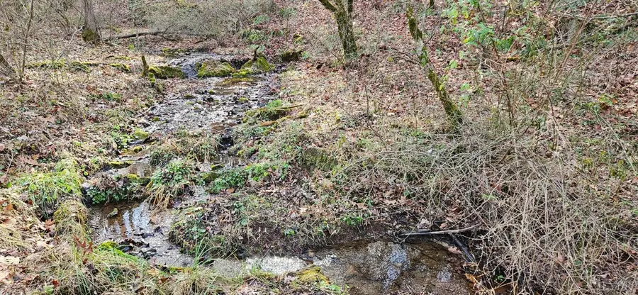 0 Major Graham Road, Wytheville, VA 24382 - Image #3