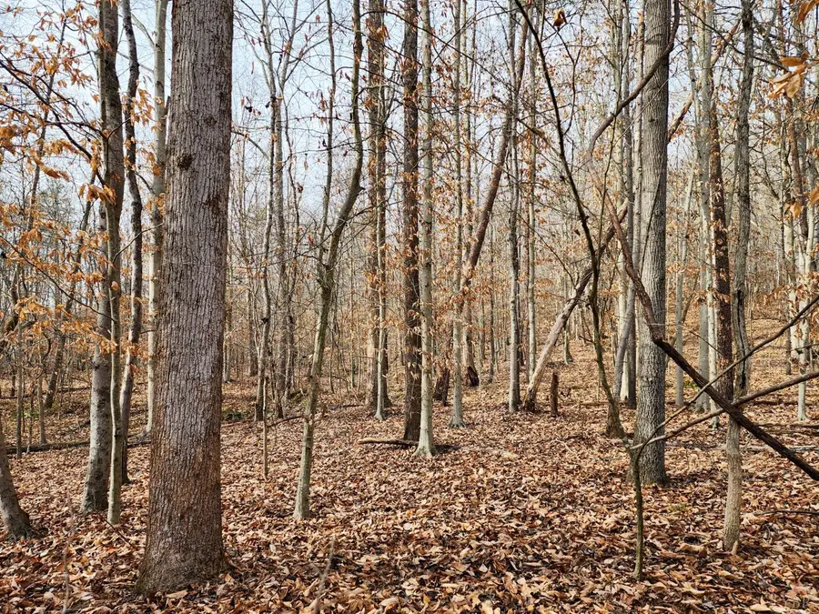 0 Pinecrest Drive, Madison Heights, VA 24572 - Image #2