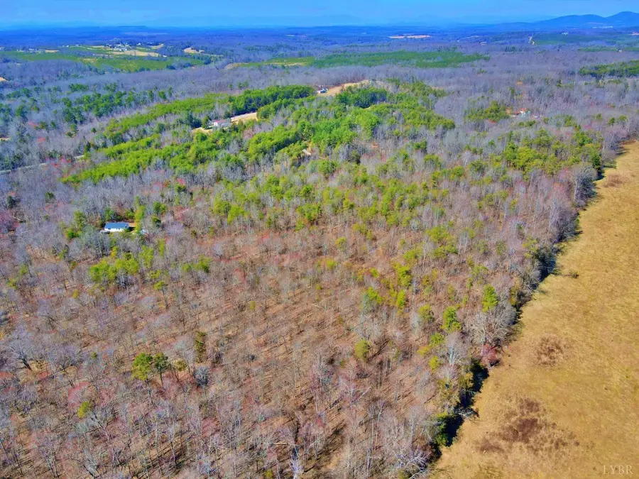 2 Watt Abbitt Road, Appomattox, VA 24522 - Image #2