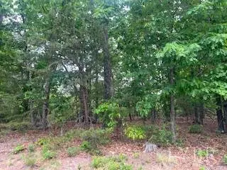 0 Delta Drive, Hurt, VA 24563