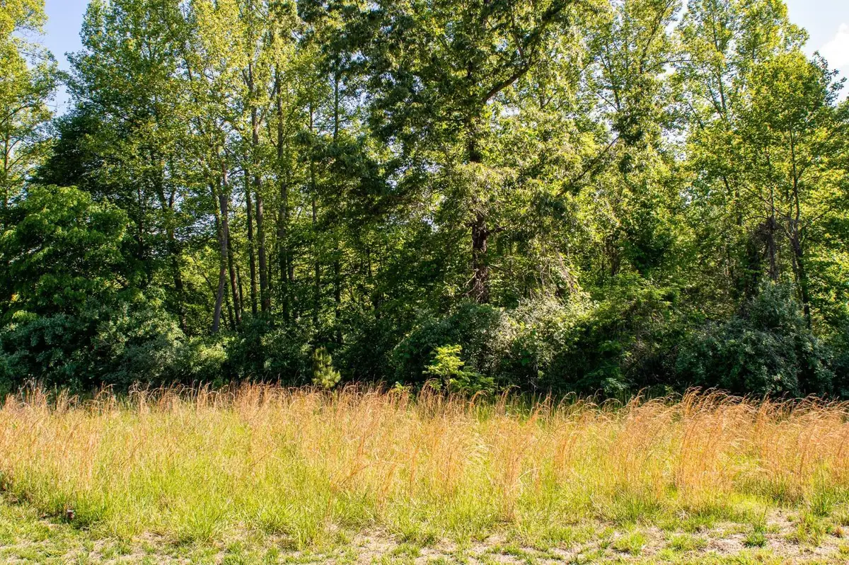 0 Watchtower Drive, Moneta, VA 24121 - Image #1