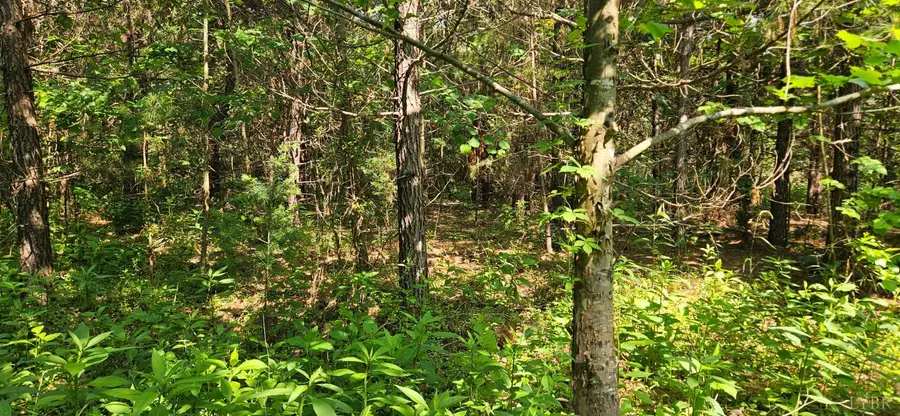 0 Earley Farm Road, Madison Heights, VA 24572 - Image #3