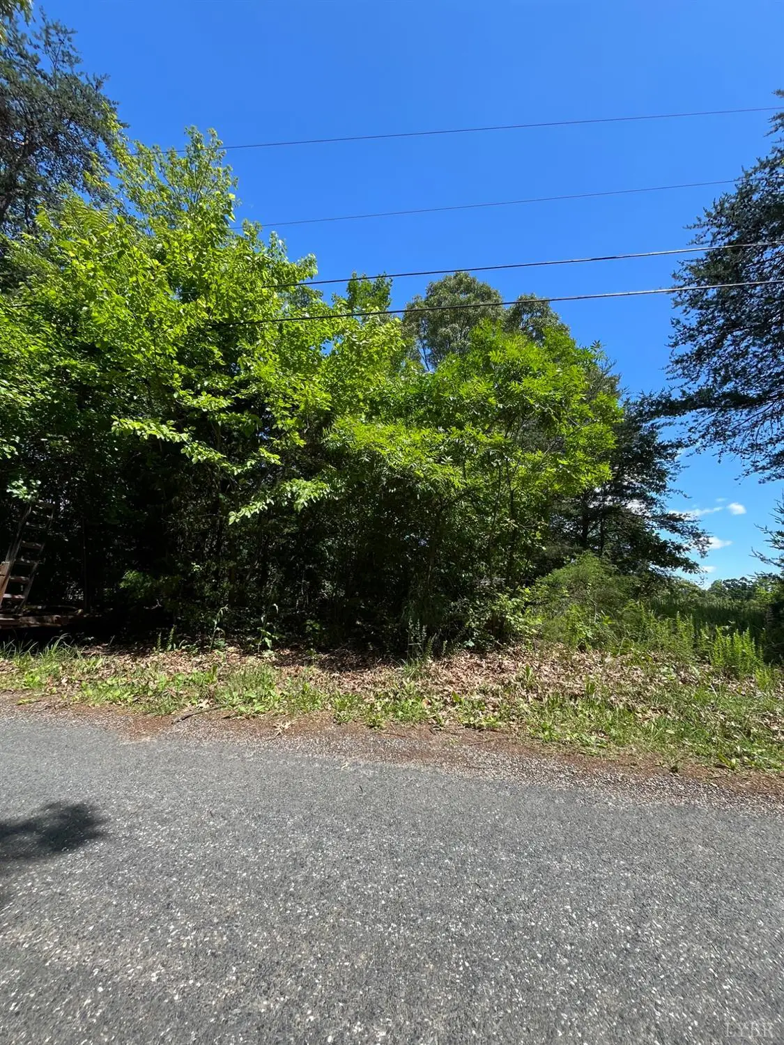 156 Bryant Road, Madison Heights, VA 24572 - Image #1