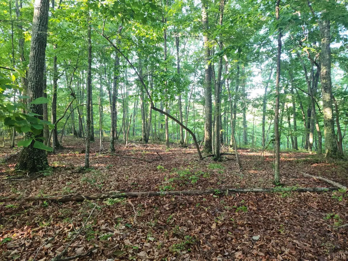 0 Ridge Road, Evington, VA 24550 - Image #1