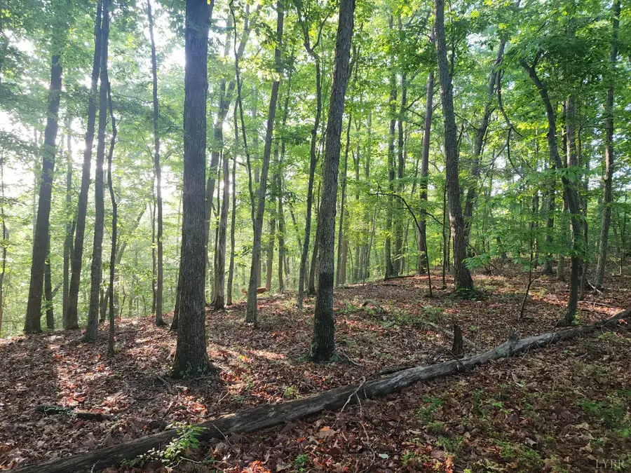 0 Ridge Road, Evington, VA 24550 - Image #2