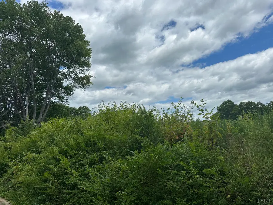 120 Kennon Dr, Danville, VA 54540 - Image #3