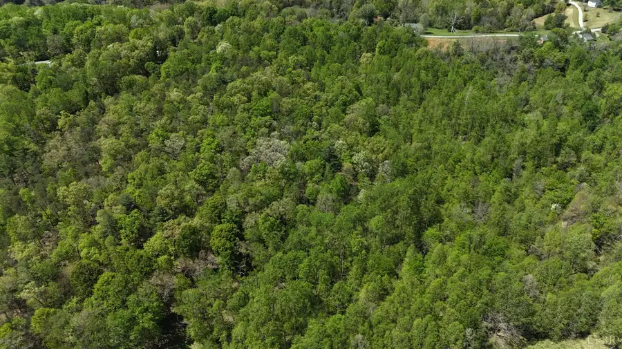 0 Gidsville Lot 2a Road, Amherst, VA 24521 - Image #3