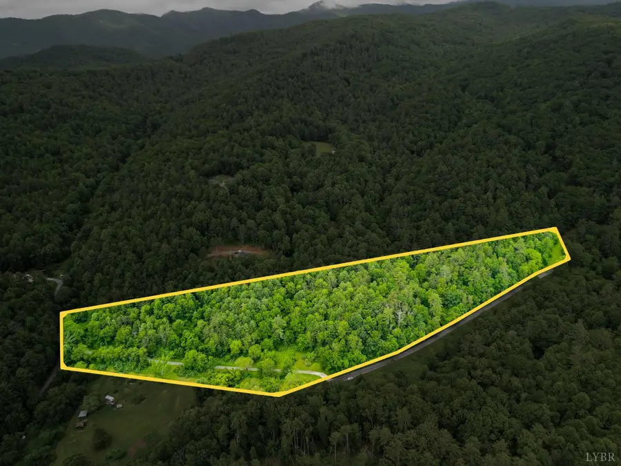 0 Pedlar River Road, Vesuvius, VA 24483 - Image #2