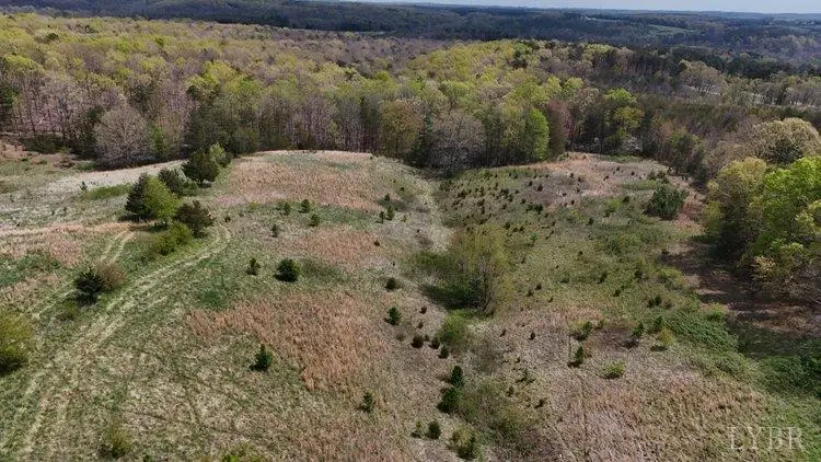 0 Clarion Road, Altavista, VA 24517 - Image #3