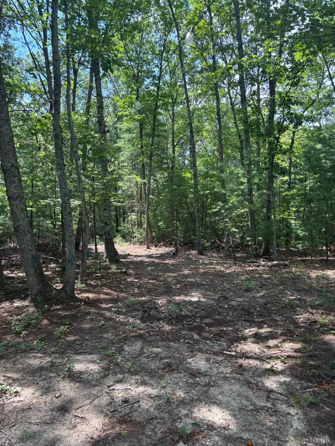 0 Cheatham Road, Monroe, VA 24574 - Image #1