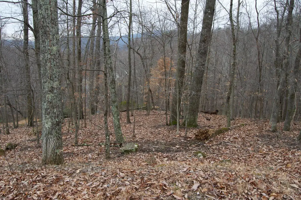 0 Hickory Falls Road, Blue Ridge, VA 24064 - Image #1
