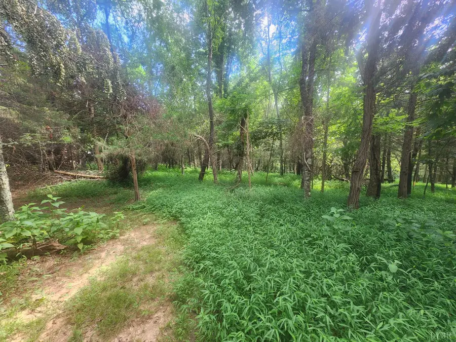 0 Kevin Drive, Goode, VA 24556 - Image #3