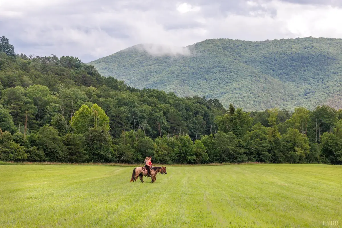 0 41 News Road, Eagle Rock, VA 24085 - Image #1