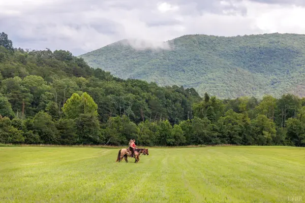 0 41 News Road, Eagle Rock, VA 24085