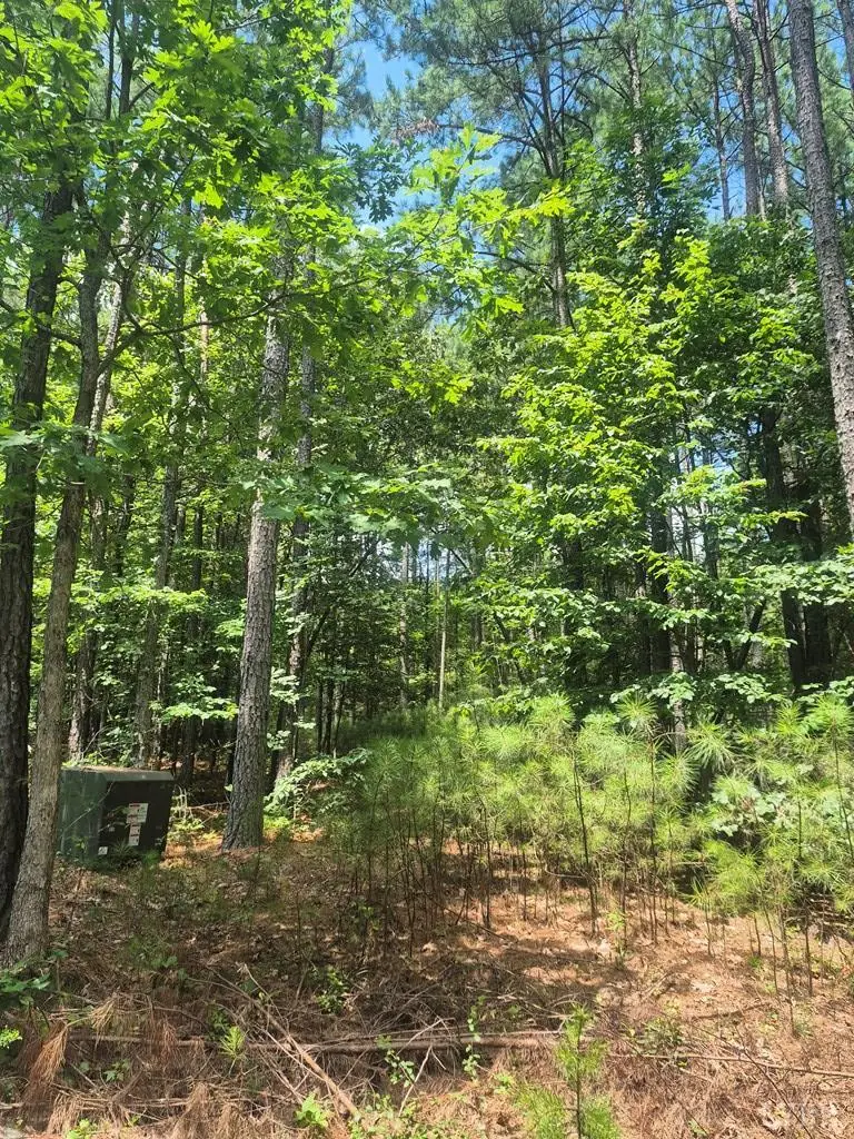 0 Hixburg Road, Prospect, VA 23960 - Image #2