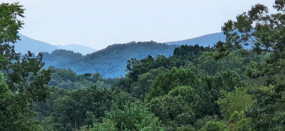 13384 Hardy Road, Hardy, VA 24101 - Image #1