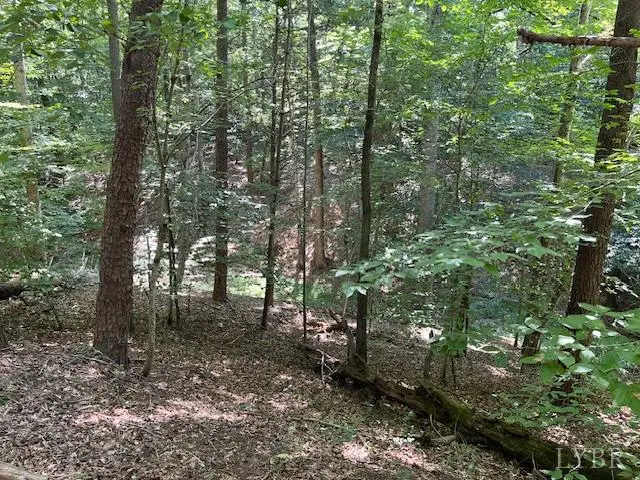 Address Withheld By Seller, Wingina, VA 24599 - Image #3