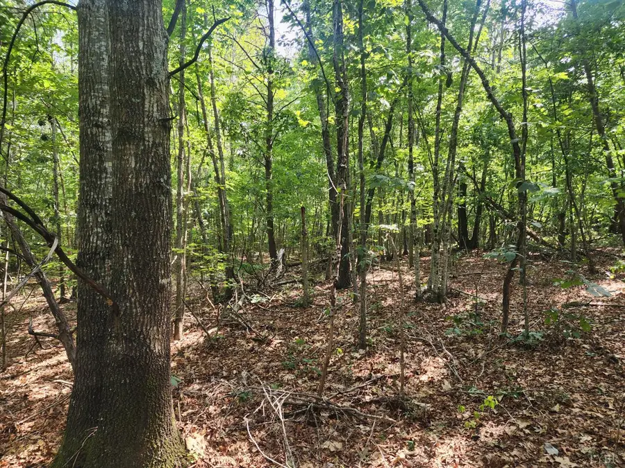 0 Red House Road, Appomattox, VA 24522 - Image #3