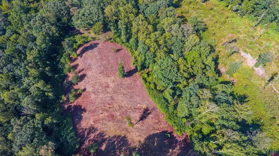 206 Waughs Landing Drive, Lynchburg, VA 24503 - #2