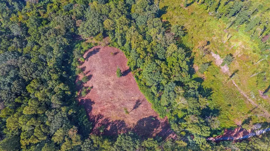 206 Waughs Landing Drive, Lynchburg, VA 24503 - #3