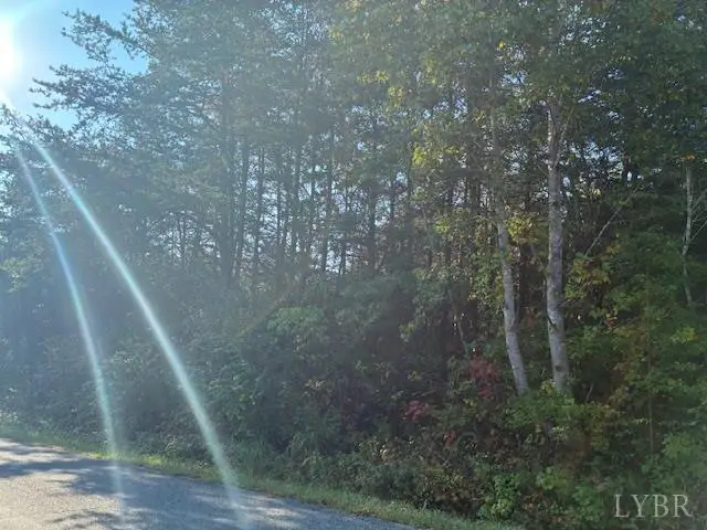 0 Piney Grove Road, Gretna, VA 24557 - Image #2