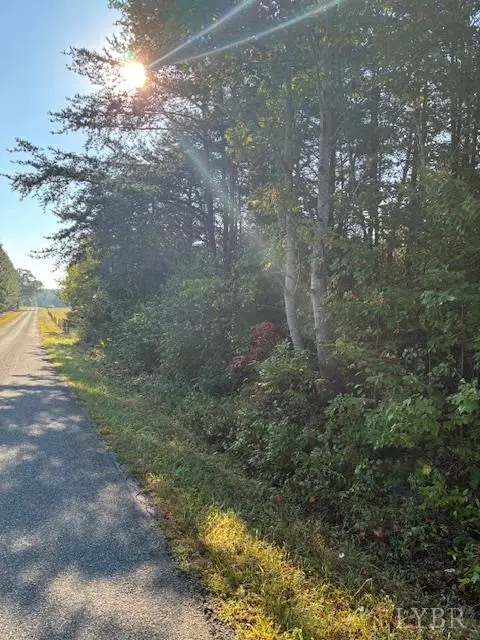 0 Piney Grove Road, Gretna, VA 24557 - Image #3