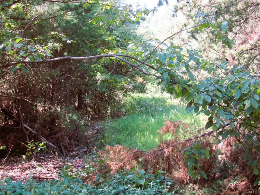 4 Buffalo Bend Drive, Amherst, VA 24521 - Image #2