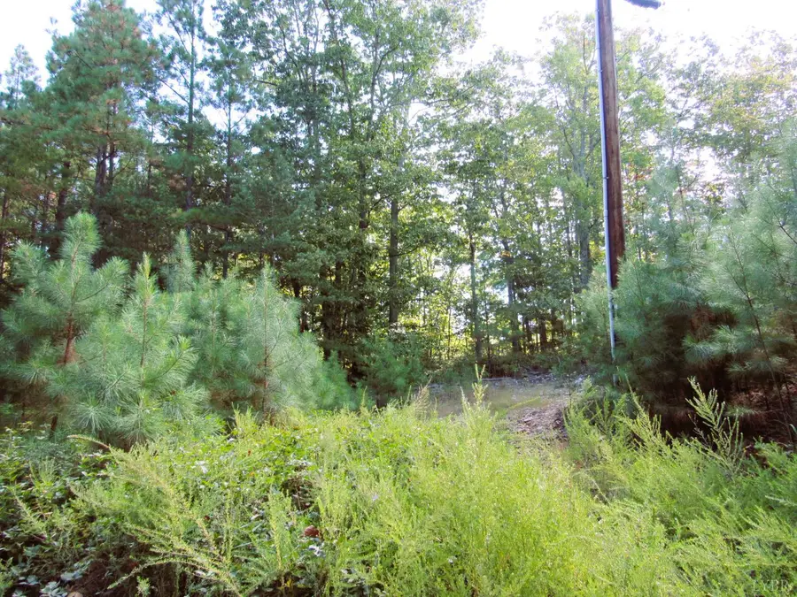 4 Buffalo Bend Drive, Amherst, VA 24521 - Image #3