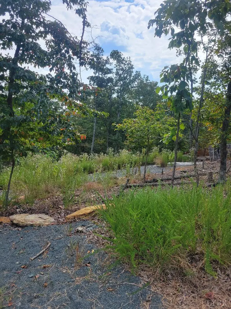 0 Nighthawk Road, Lynchburg, VA 24504 - Image #2