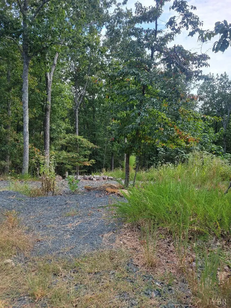 0 Nighthawk Road, Lynchburg, VA 24504 - Image #3