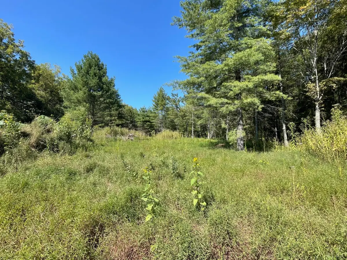 0 Founding Way, Bedford, VA 24523 - Image #1