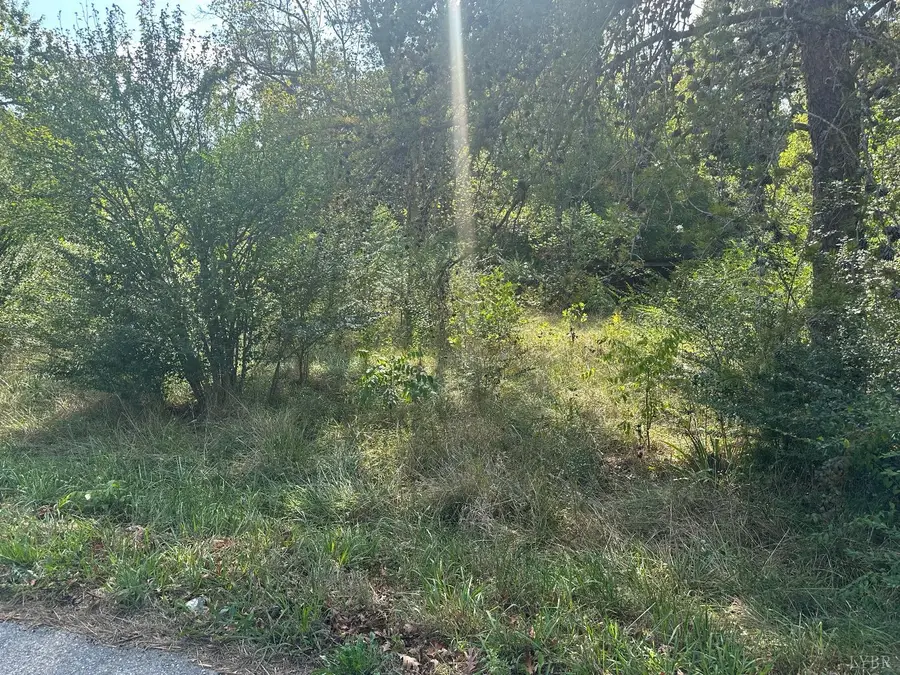 915 Robin Road, Brookneal, VA 24528 - Image #2