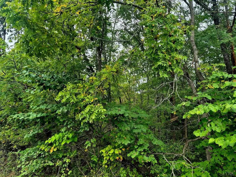 0 Wildflower Lane, Dillwyn, VA 23936 - Image #3