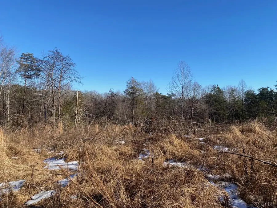 0 Wright Shop Road, Madison Heights, VA 24572 - Image #2