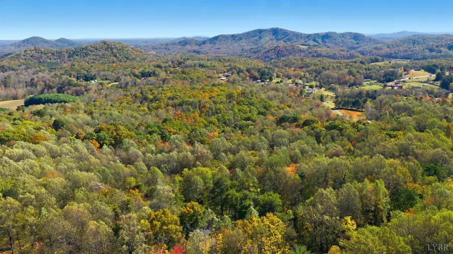 209 Willowridge Drive, Thaxton, VA 24174 - Image #3