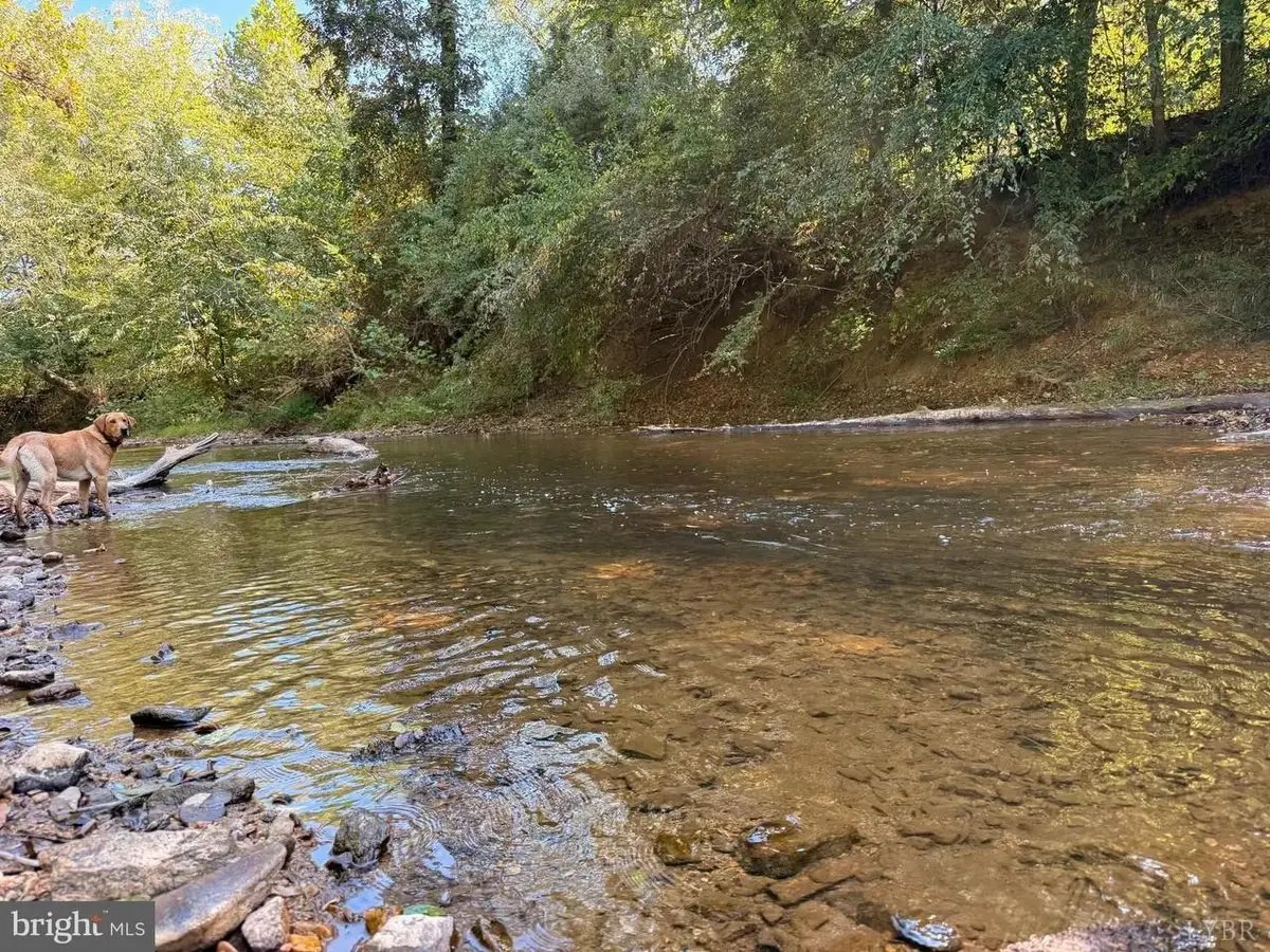 0 Coleman Mountain Road, Appomattox, VA 24522 - Image #1