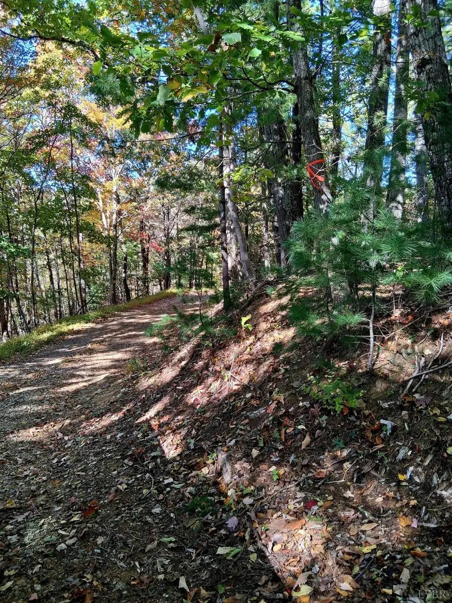 0 North Fork Road, Amherst, VA 24521 - Image #3