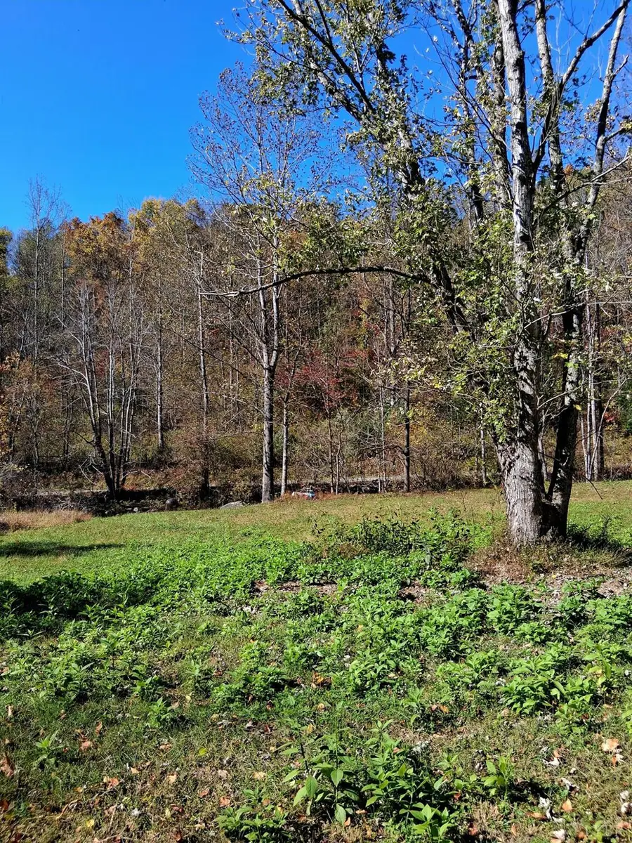 0 North Fork, Amherst, VA 24521 - Image #2