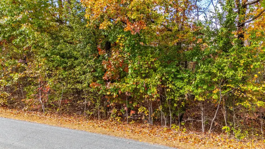 0 Pin Oak Rd, Prospect, VA 23960 - Image #2