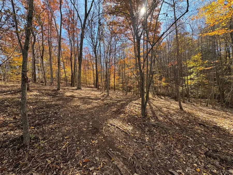 9 Richmond Highway, Amherst, VA 24521 - Image #3