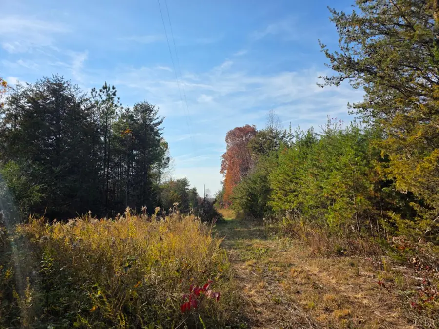 0 Wildway Road, Appomattox, VA 24522 - Image #3