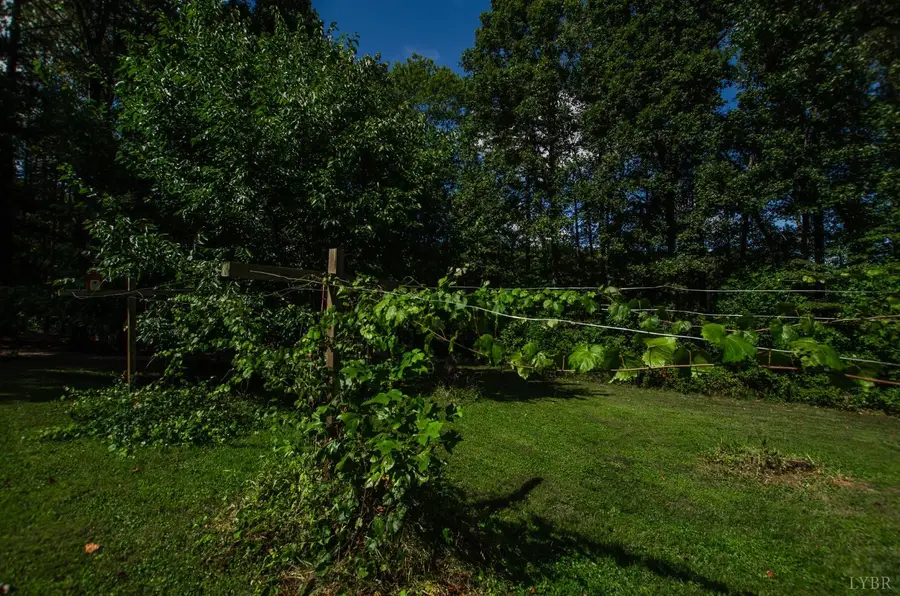 4232 Spring Grove Rd, Wreck Island, VA 24522 - Image #3