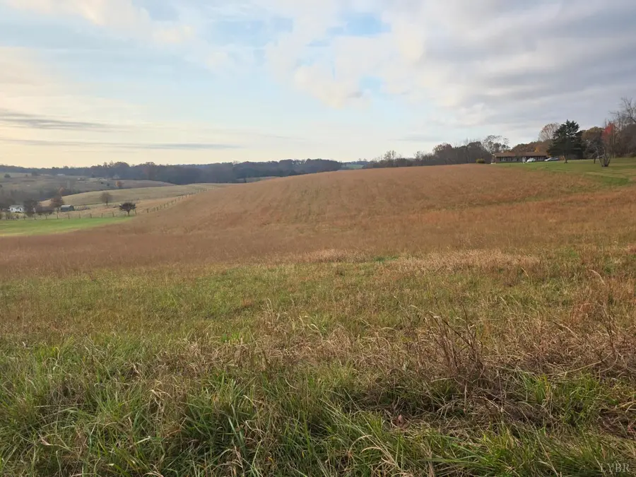 0 Stewartsville Road, Moneta, VA 24121 - Image #2