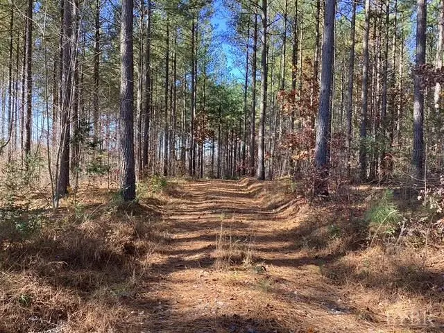 0 Lewis Ford Road, Brookneal, VA 24528 - Image #1