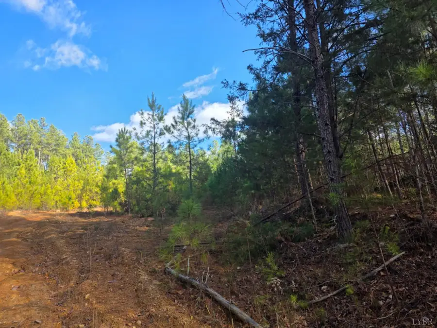 0 5150 Norwood Road, Gladstone, VA 24553 - Image #2