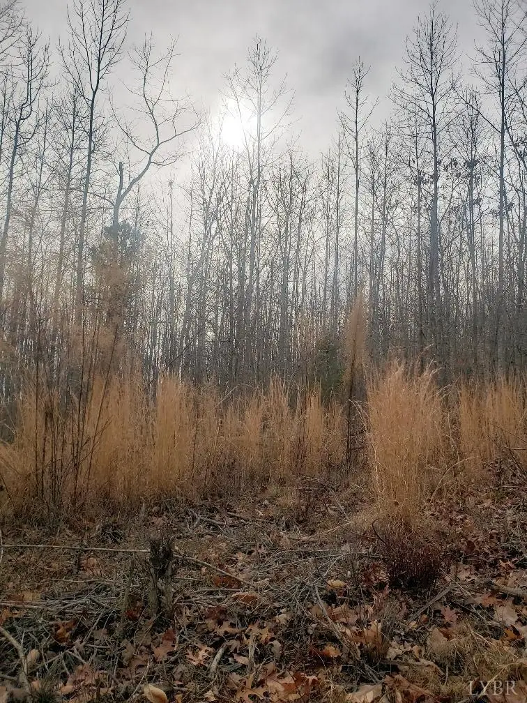 0 Mountain Creek Rd, Green Bay, VA 23942 - Image #1