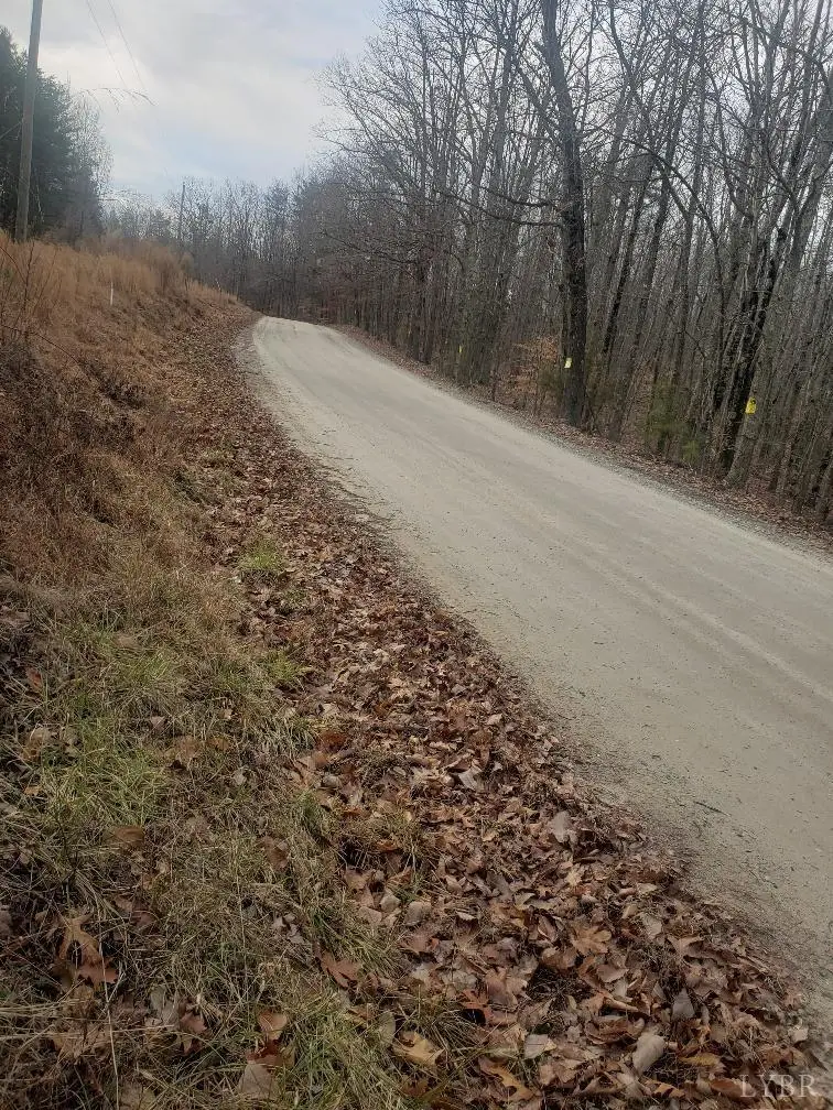 0 Mountain Creek Rd, Green Bay, VA 23942 - Image #2