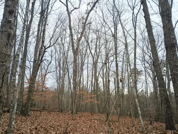 0 Axtell Road, Scottsville, VA 24562